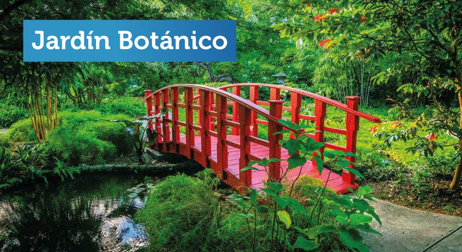 Jardín-botánico-lugar-turístico-en-Miami