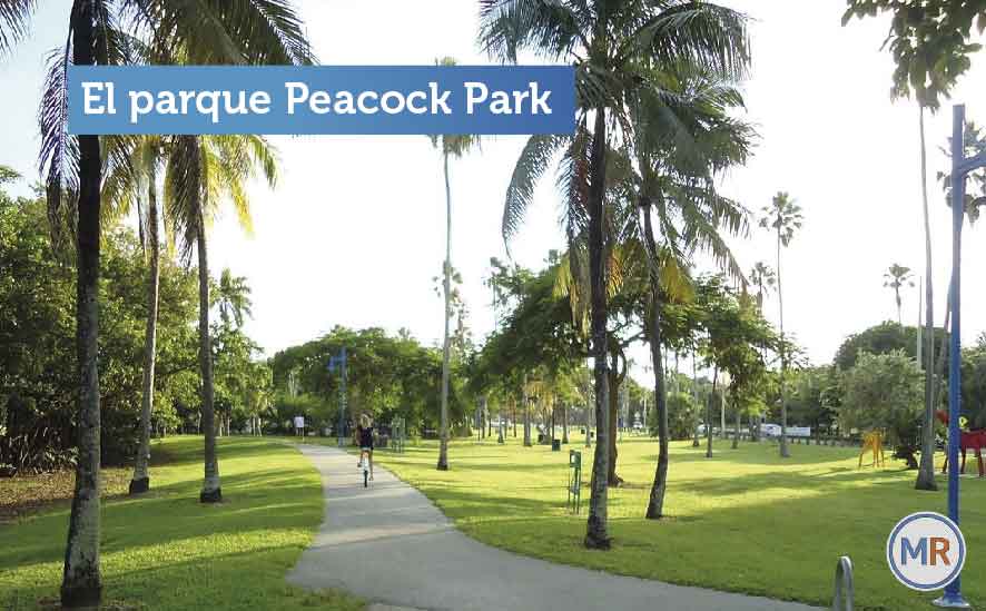 Parques gratuitos en Miami