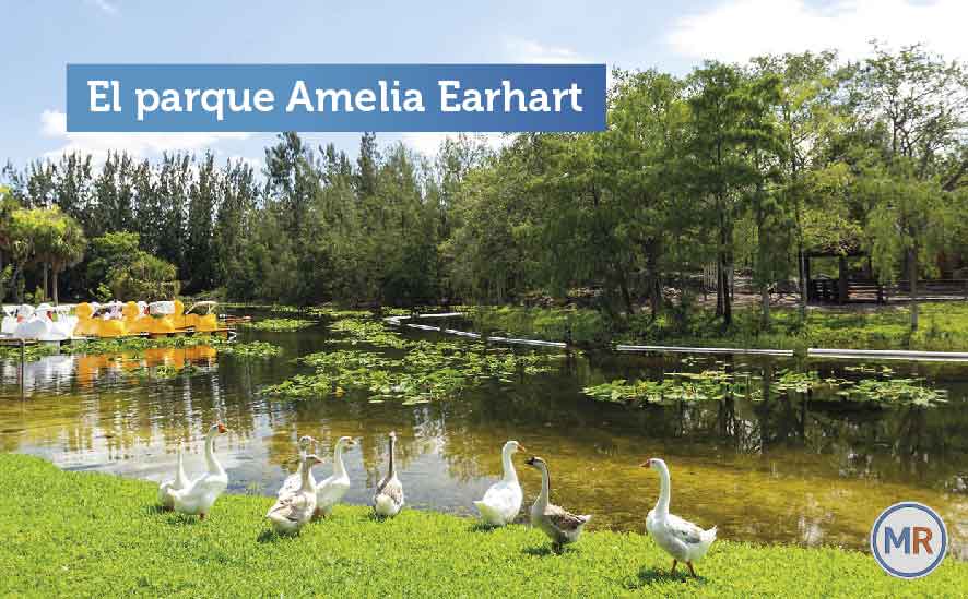 panoramas gratuitos en Miami