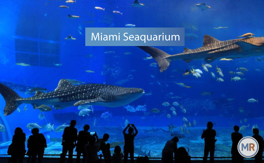Miami Seaquearium