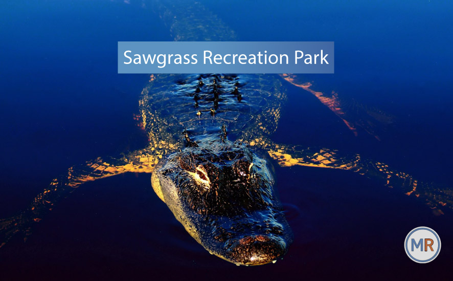 Sawgrass Recreation Park