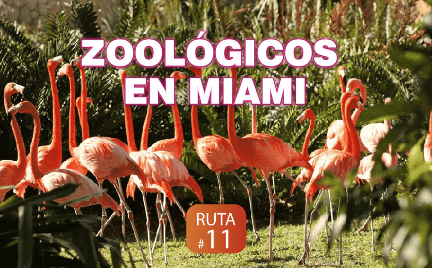 Zoológicos en Miami