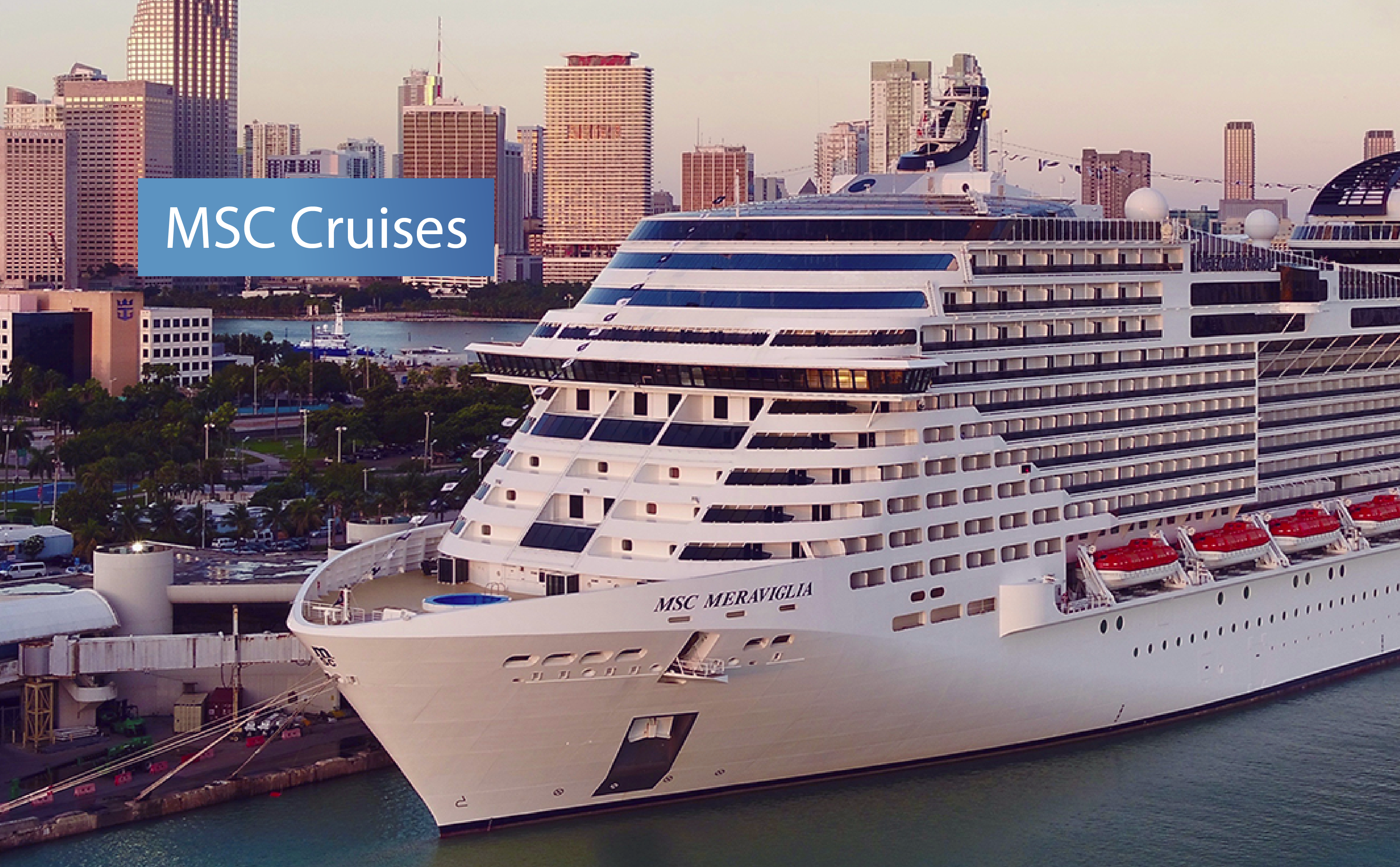 MSC Cruise