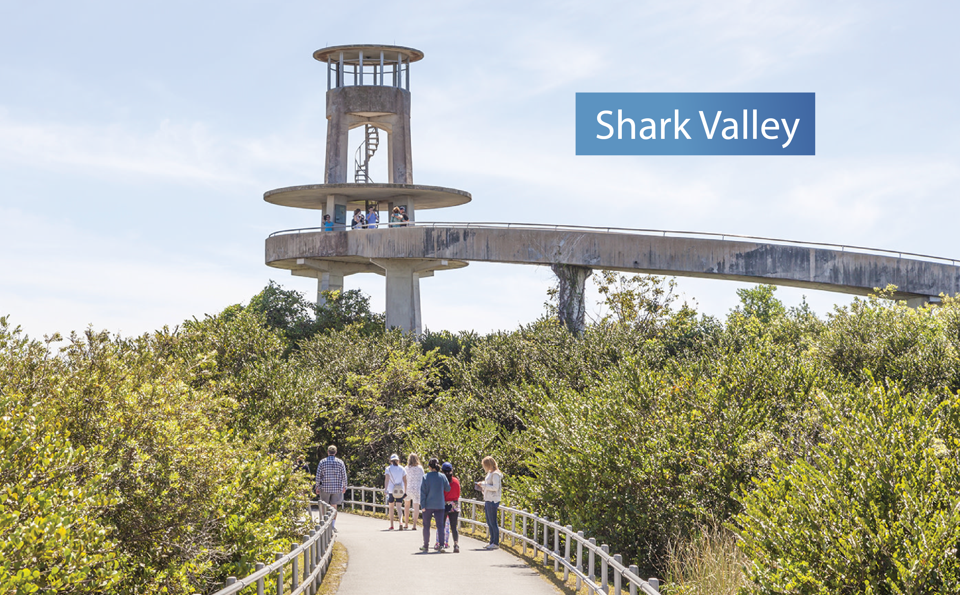 Shark Valley