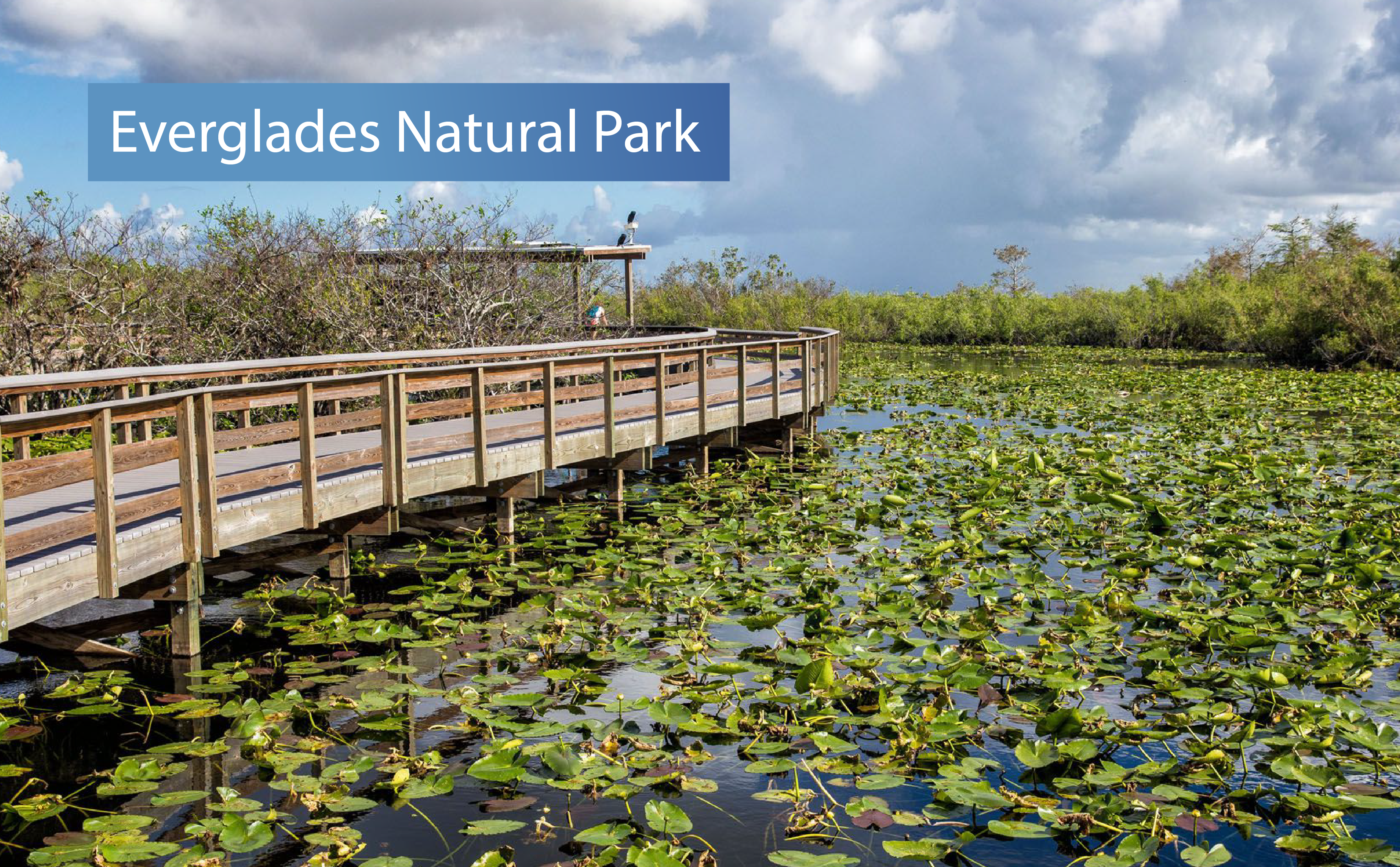 Everglades Natural Park