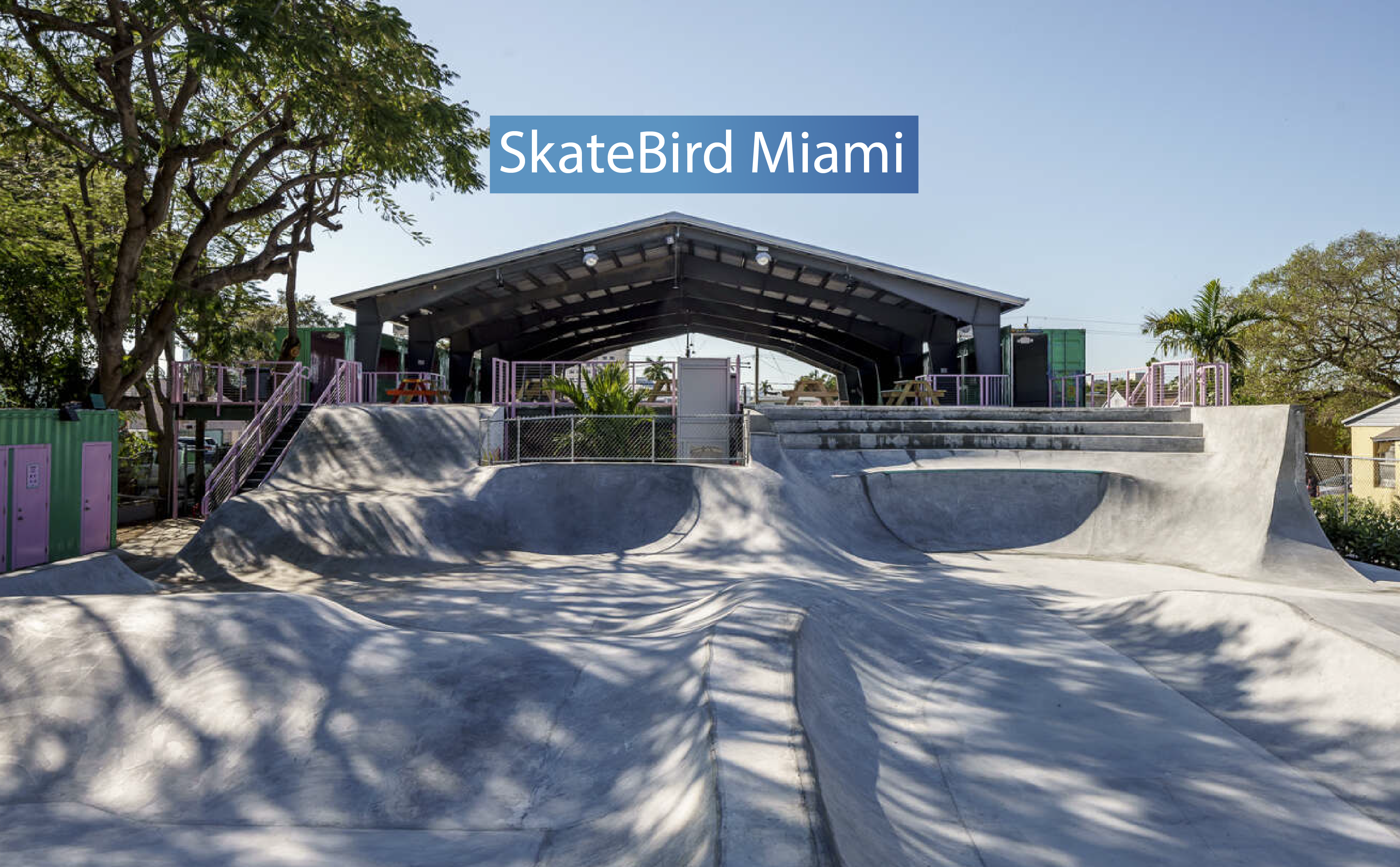 SkateBird Miami